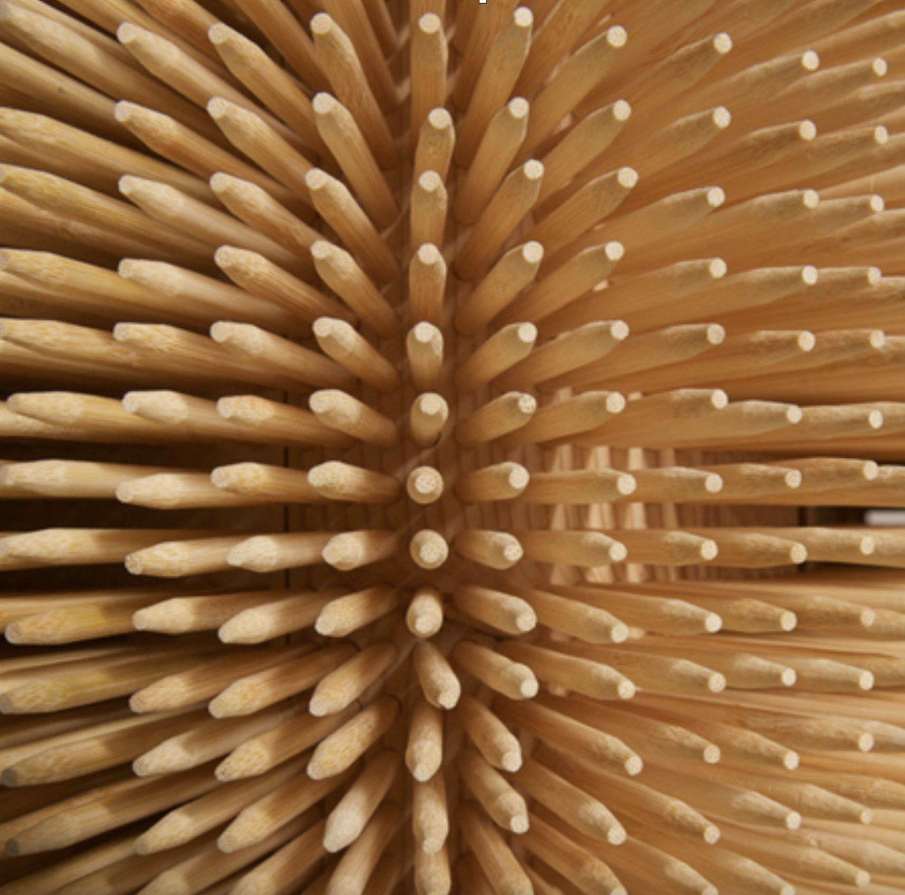 Capture d’écran 2025-09-08 à 20.55.47